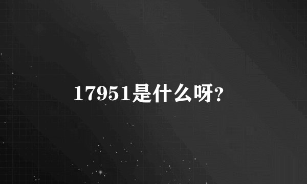 17951是什么呀?