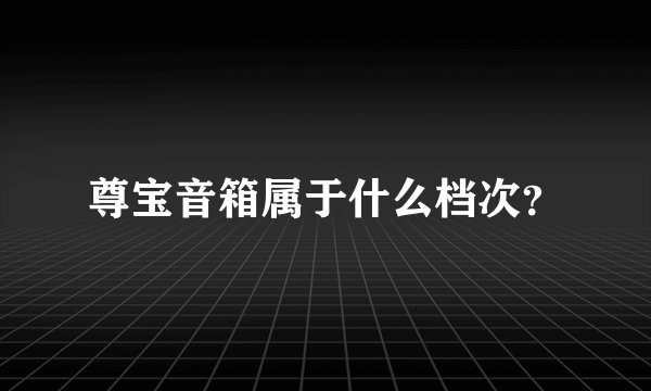 尊宝音箱属于什么档次？