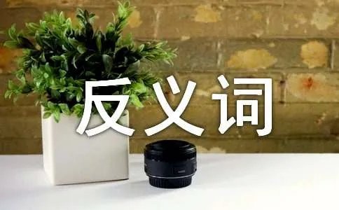 负责的近义词和反义词