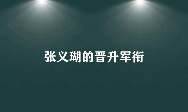张义瑚的晋升军衔