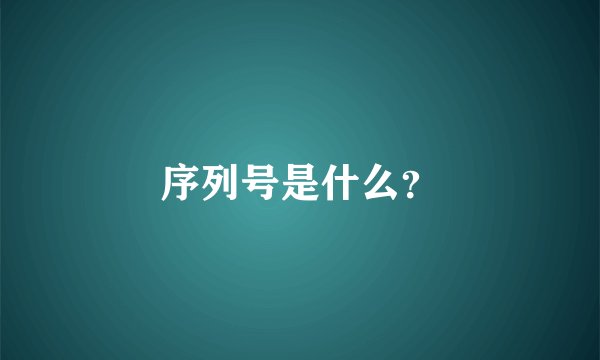 序列号是什么？