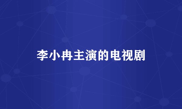 李小冉主演的电视剧