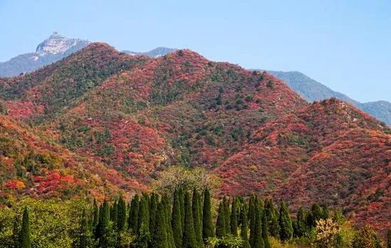 济源旅游景点大全排名,哪些值得去?