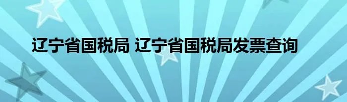 辽宁省国税局 辽宁省国税局发票查询