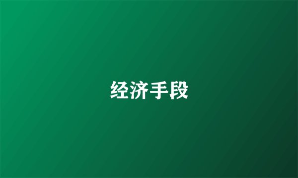 经济手段