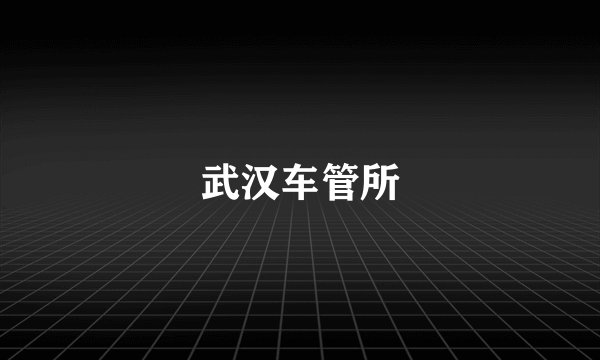 武汉车管所
