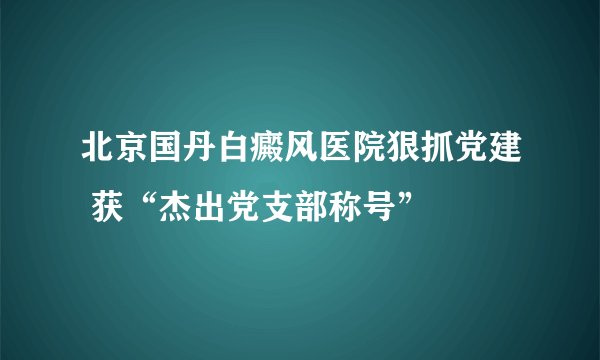 北京国丹白癜风医院狠抓党建 获“杰出党支部称号”