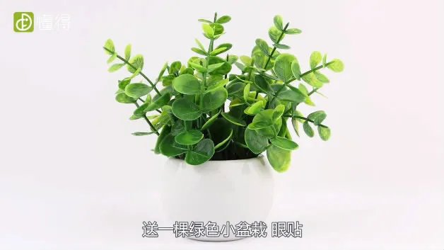 送老师什么礼物好