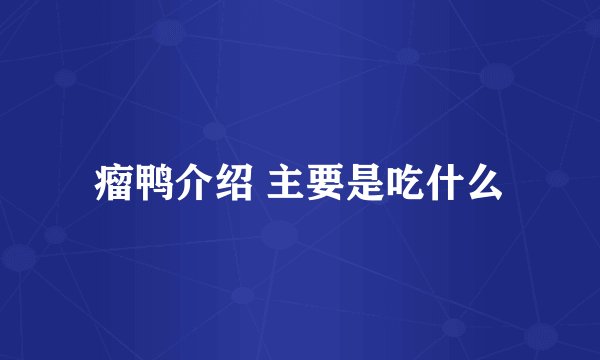 瘤鸭介绍 主要是吃什么