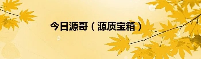 今日源哥（源质宝箱）