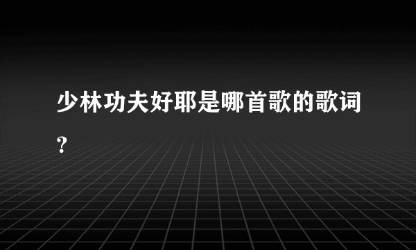 少林功夫好耶是哪首歌的歌词？