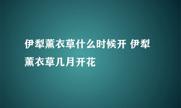 伊犁薰衣草什么时候开 伊犁薰衣草几月开花