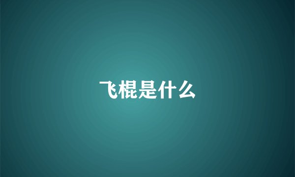 飞棍是什么