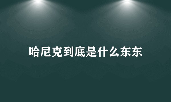 哈尼克到底是什么东东