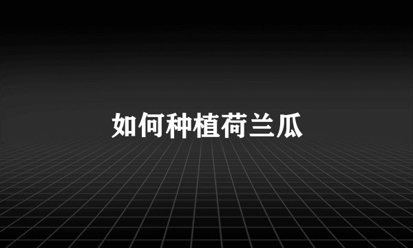 如何种植荷兰瓜