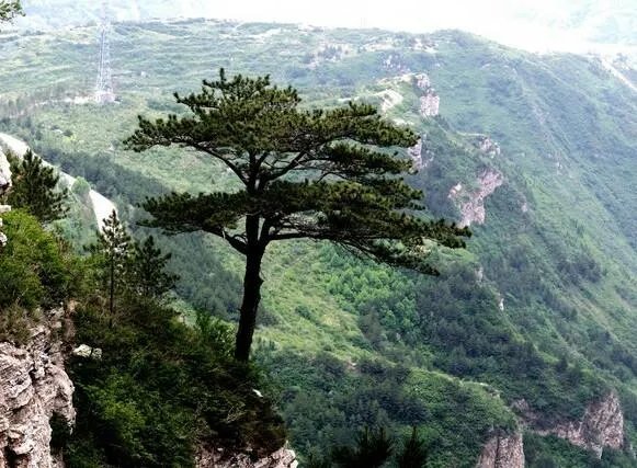 山西恒山好在哪?