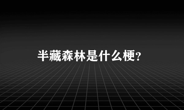半藏森林是什么梗？