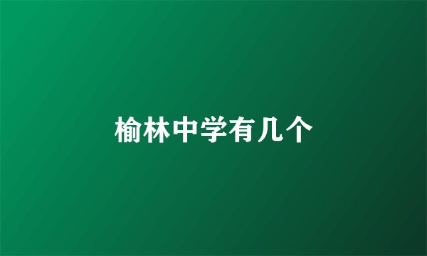 榆林中学有几个