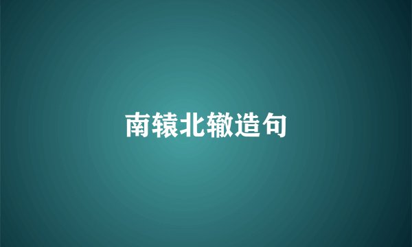 南辕北辙造句