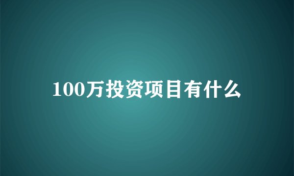 100万投资项目有什么