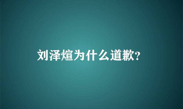 刘泽煊为什么道歉？