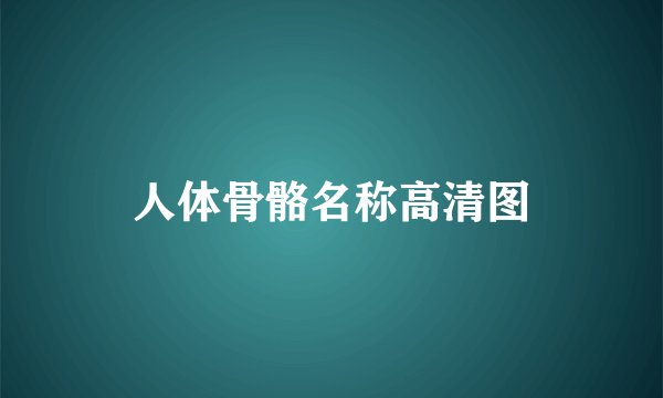 人体骨骼名称高清图