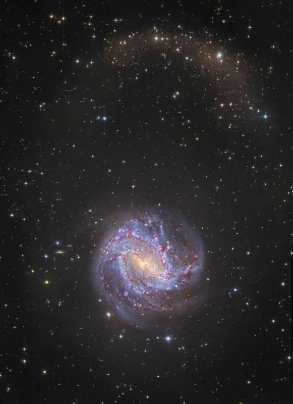M83的组成