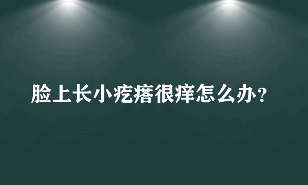 脸上长小疙瘩很痒怎么办？