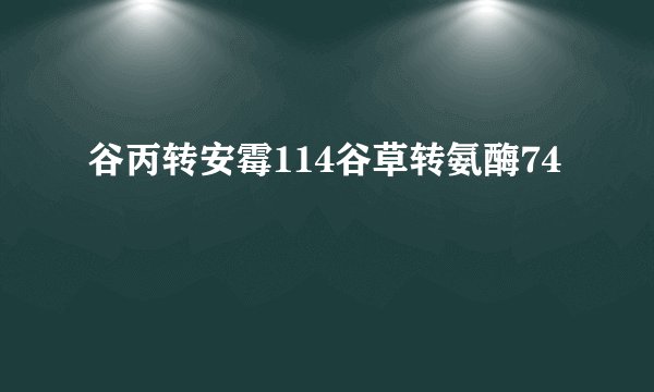 谷丙转安霉114谷草转氨酶74