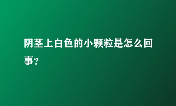 阴茎上白色的小颗粒是怎么回事？