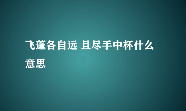 飞蓬各自远 且尽手中杯什么意思