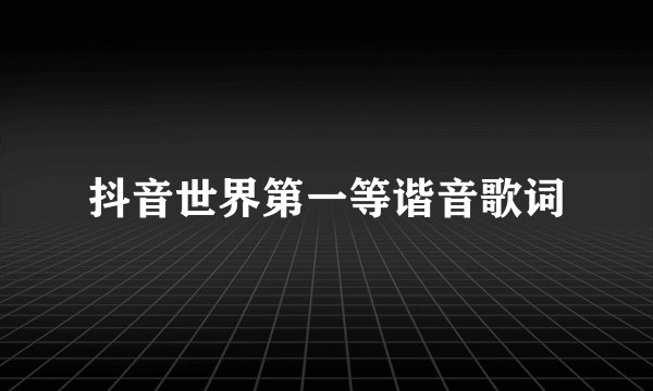 抖音世界第一等谐音歌词