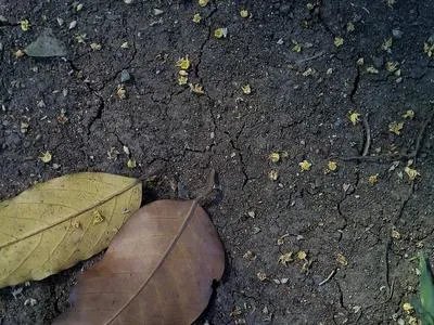 秋季脱发严重怎么办呢