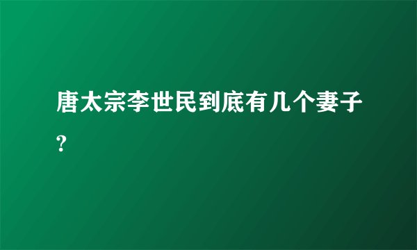 唐太宗李世民到底有几个妻子?