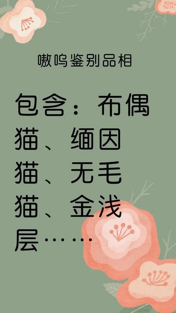 无毛猫价格上猫舍和个人的多少钱?