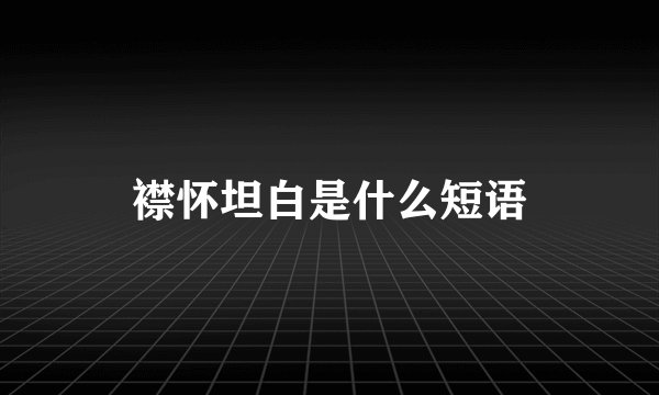 襟怀坦白是什么短语