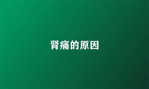 肾痛的原因