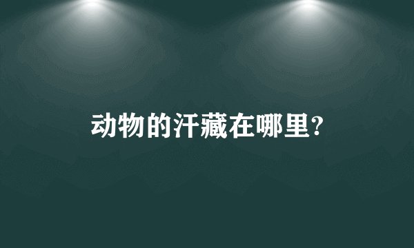 动物的汗藏在哪里?