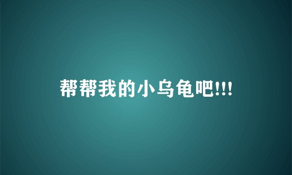 帮帮我的小乌龟吧!!!