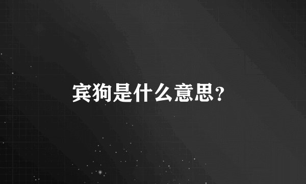 宾狗是什么意思？