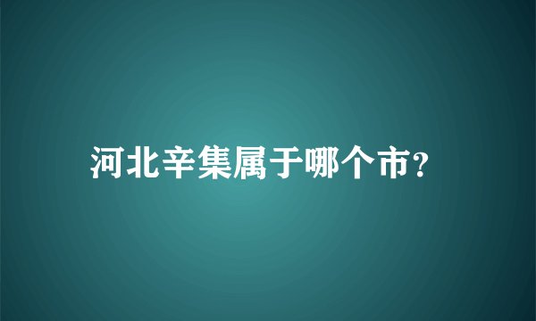 河北辛集属于哪个市？