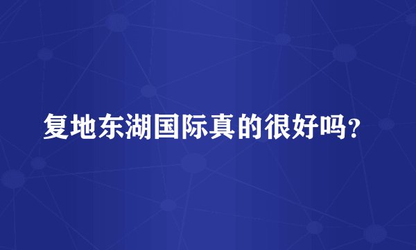 复地东湖国际真的很好吗？