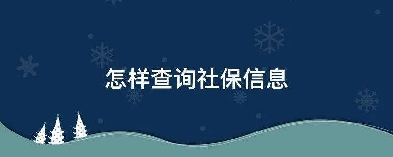 怎样查询社保信息