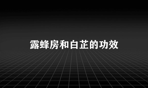 露蜂房和白芷的功效