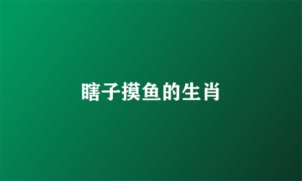 瞎子摸鱼的生肖