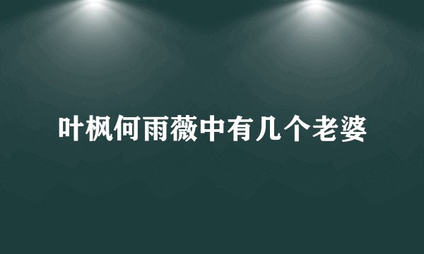 叶枫何雨薇中有几个老婆