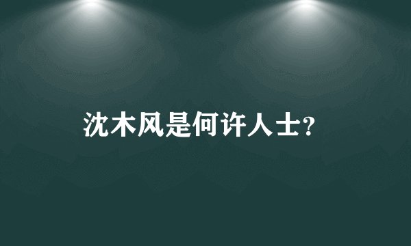 沈木风是何许人士？