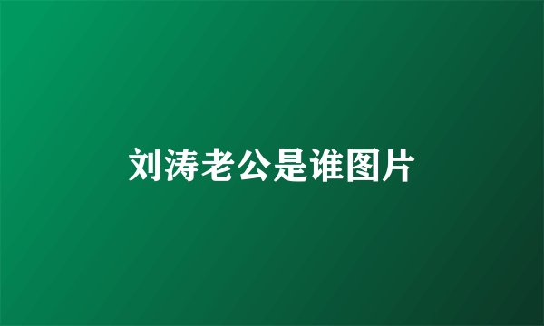 刘涛老公是谁图片