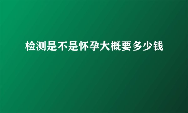 检测是不是怀孕大概要多少钱