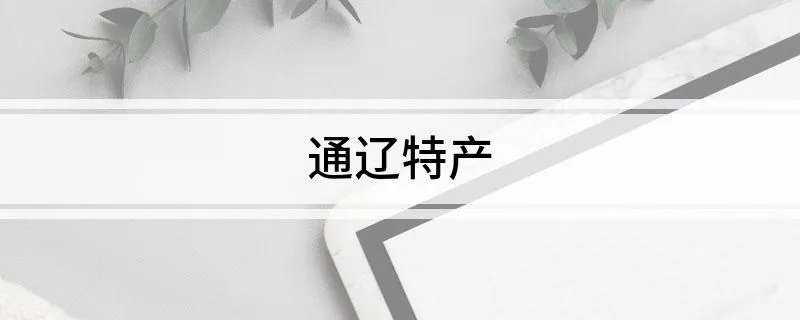 通辽特产
